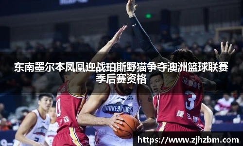 zoty中欧手机最新版本